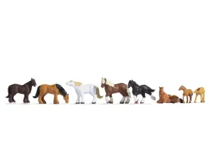 Noch_36762___KOUDBLOED_PAARDEN
