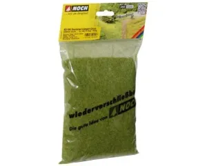 Noch_50190___GRAS_ZOMERWEIDE_2_5_MM_100_GR