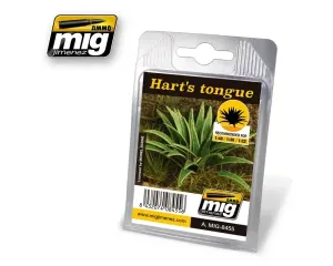 VEGETATION_HART_S_TONGUE
